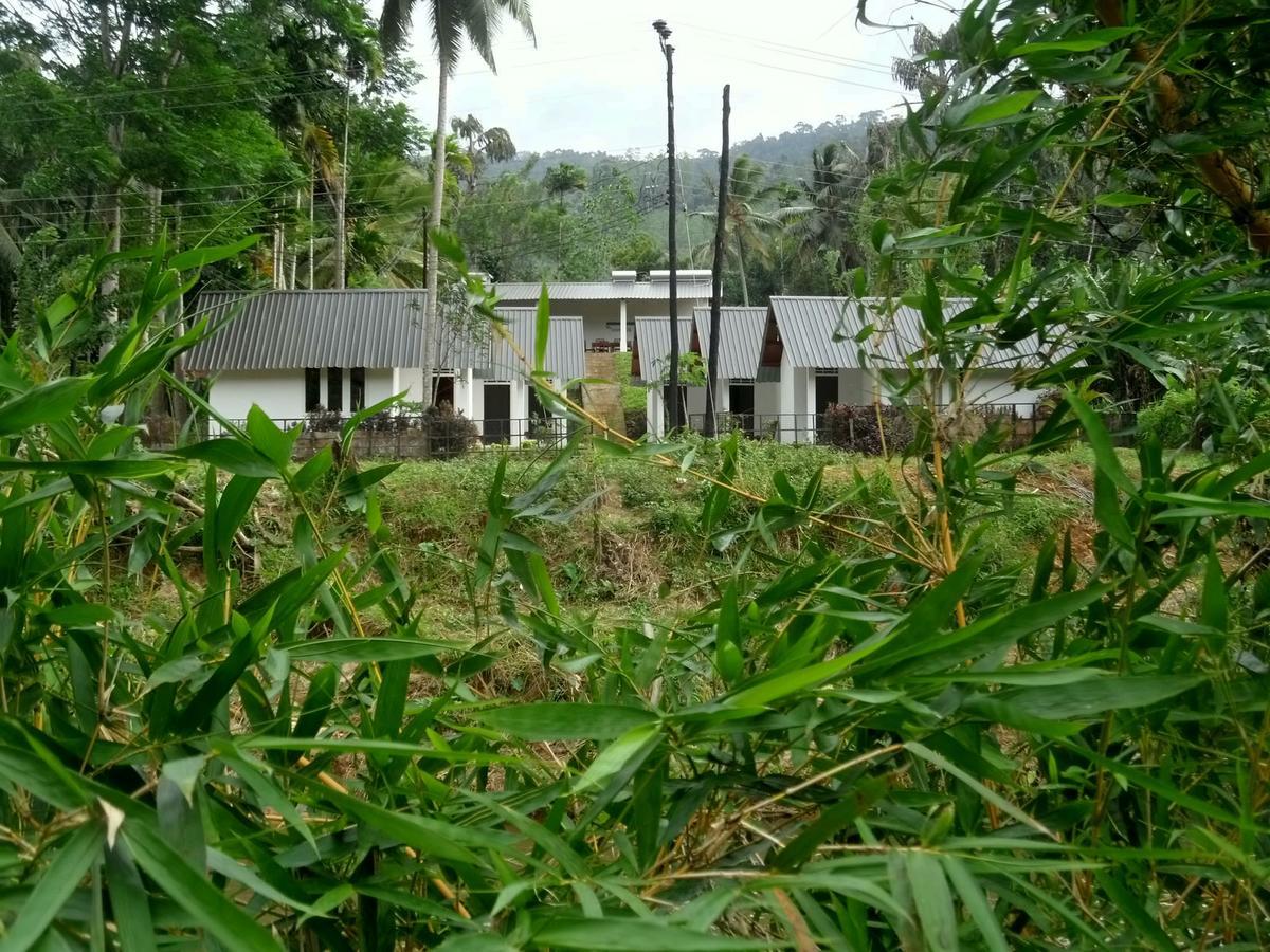 Sinharaja Forest Sanctuary 데니야야 외부 사진