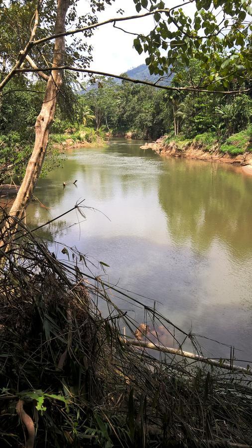 Sinharaja Forest Sanctuary 데니야야 외부 사진