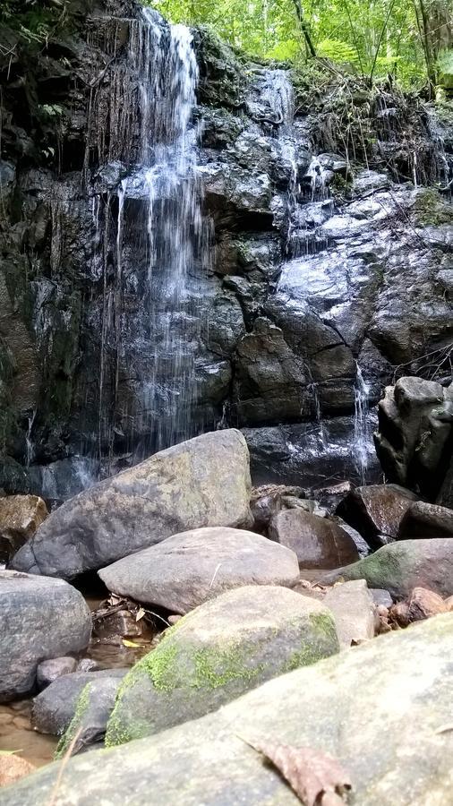 Sinharaja Forest Sanctuary 데니야야 외부 사진