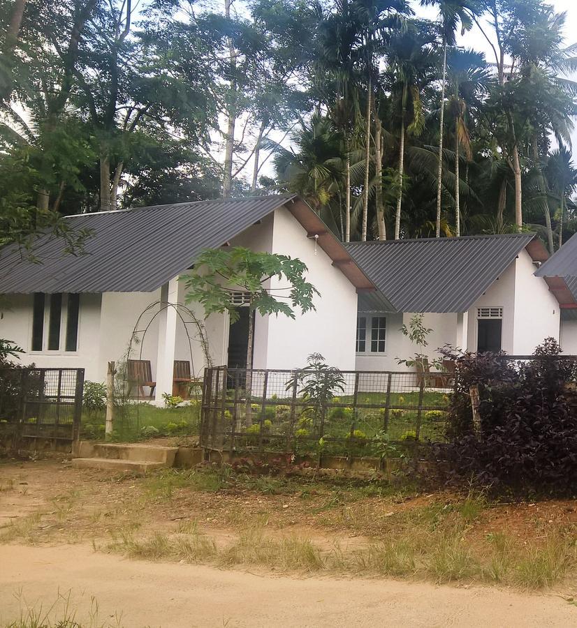 Sinharaja Forest Sanctuary 데니야야 외부 사진