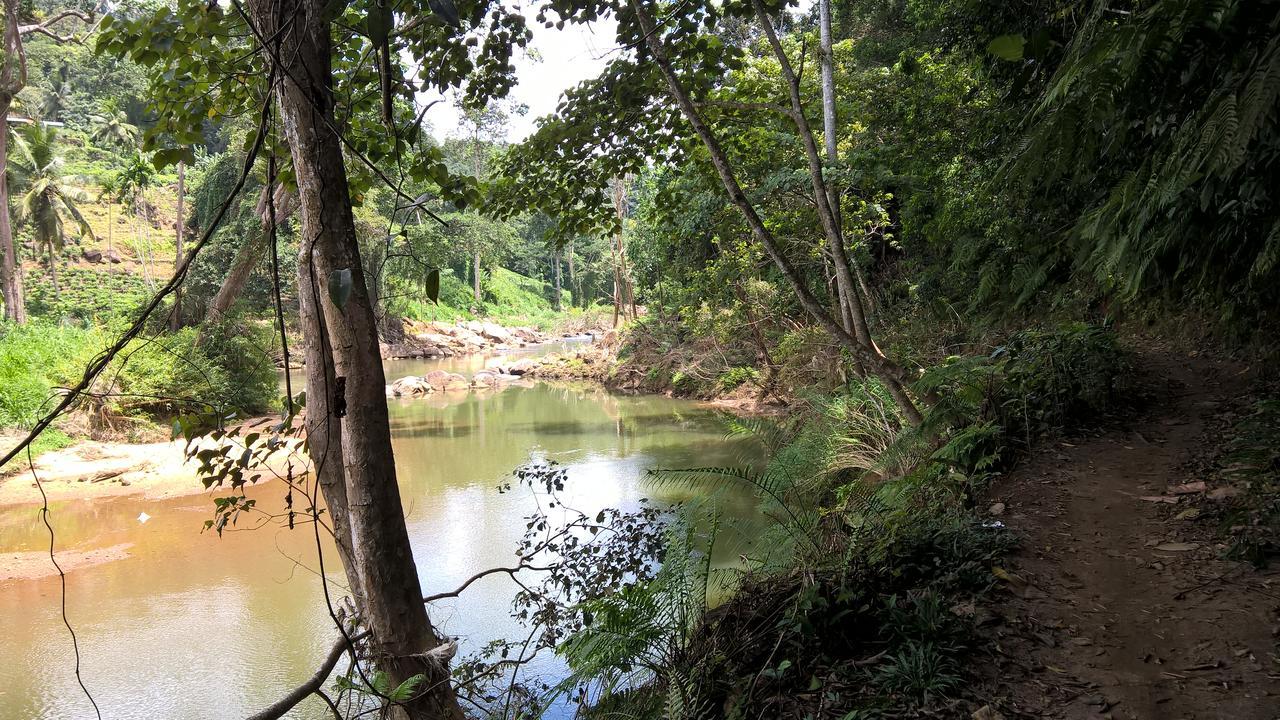 Sinharaja Forest Sanctuary 데니야야 외부 사진