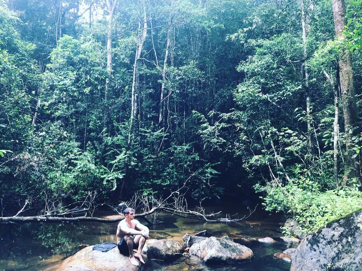 Sinharaja Forest Sanctuary 데니야야 외부 사진