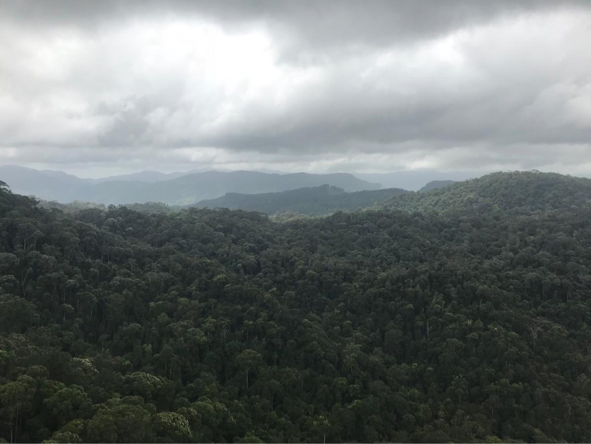 Sinharaja Forest Sanctuary 데니야야 외부 사진