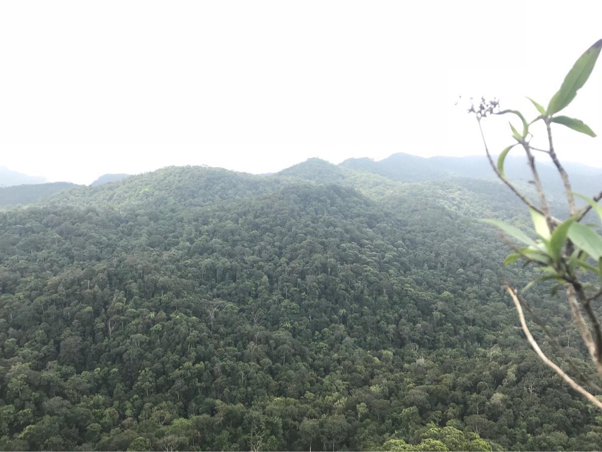 Sinharaja Forest Sanctuary 데니야야 외부 사진