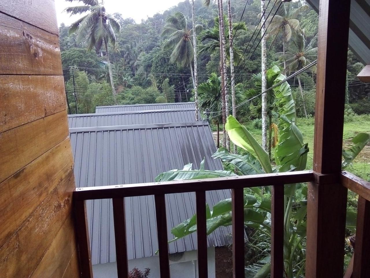 Sinharaja Forest Sanctuary 데니야야 객실 사진