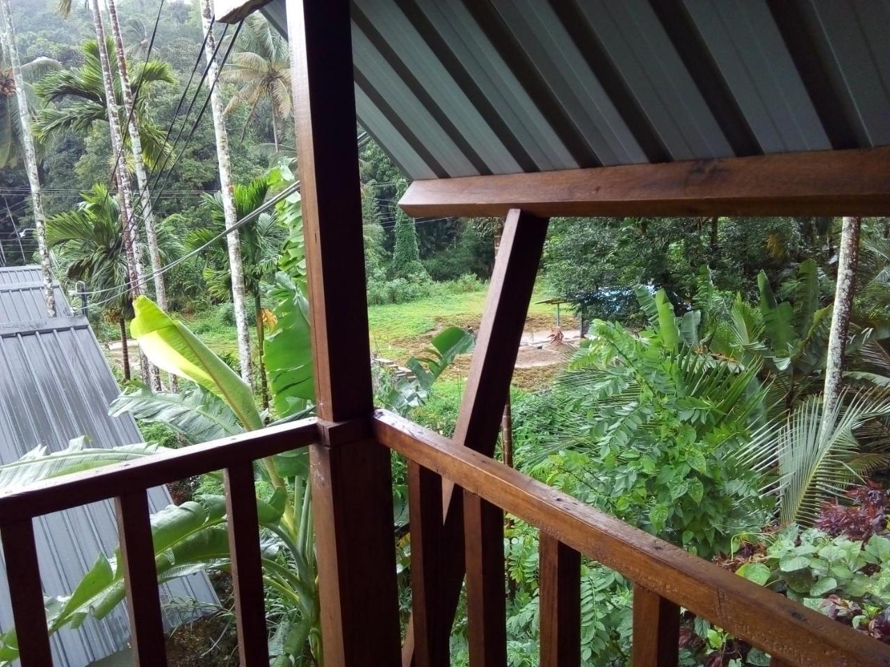Sinharaja Forest Sanctuary 데니야야 객실 사진