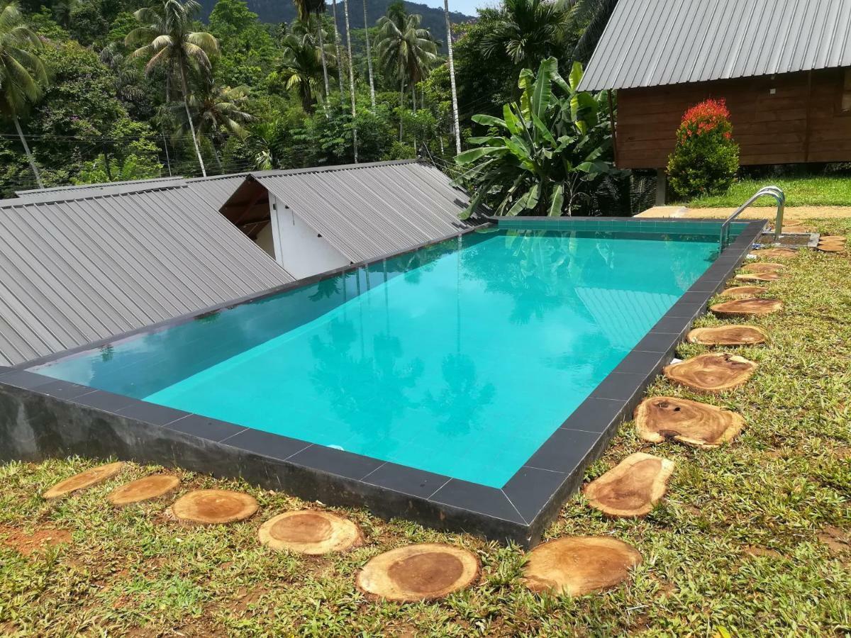 Sinharaja Forest Sanctuary 데니야야 외부 사진